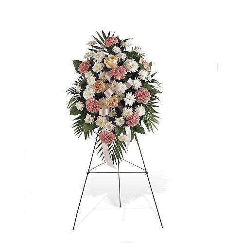 8260babdd270e81f7d6cab641a43be61.500x500