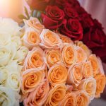 Floral background of red, white and pink roses. Large bouquets of colorful rose buds close up, festive floral background for women's day and valentine's day