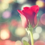 featured-image-1768572115