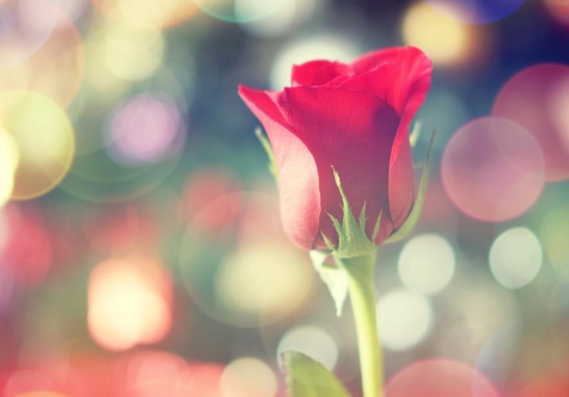 featured-image-1768572115