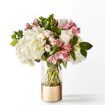 featured-image-1769626842