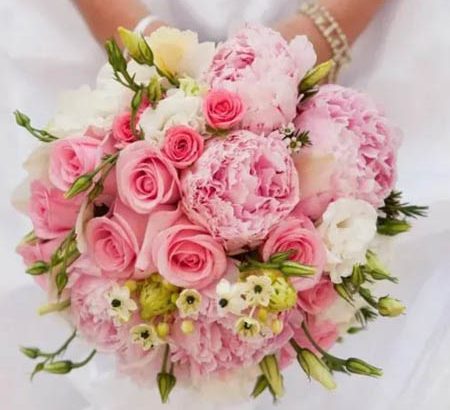 featured-image-1769799679