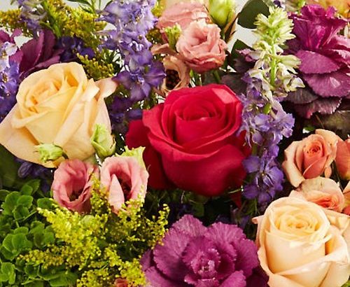 featured-image-1770645647