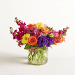 featured-image-1771700505