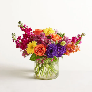 featured-image-1771700505