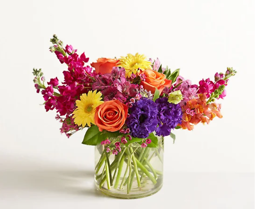 featured-image-1771700505