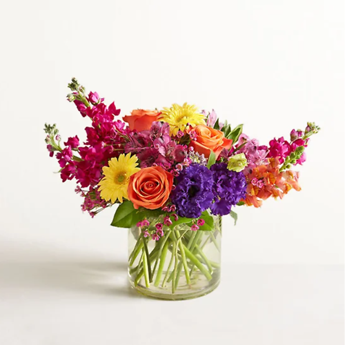 featured-image-1771700505