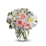 featured-image-1771873253