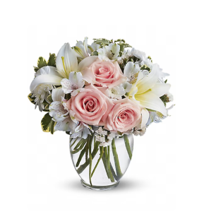 featured-image-1771873253