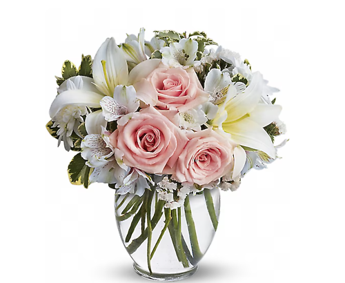 featured-image-1771873253