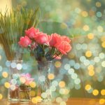 featured-image-1772028036