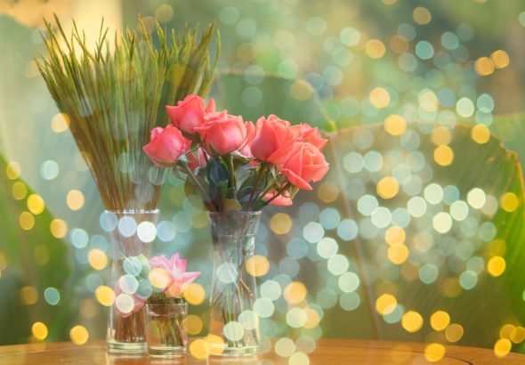 featured-image-1772028036