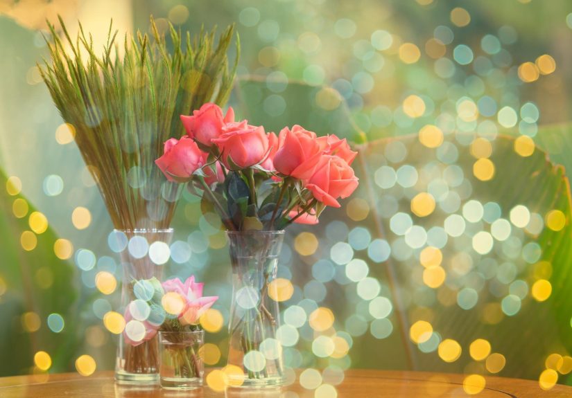 featured-image-1772028036