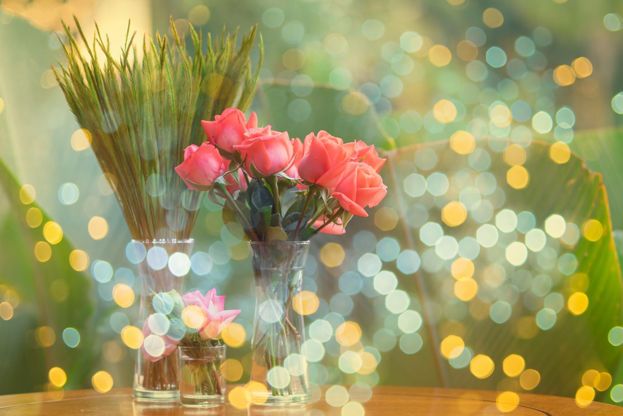 featured-image-1772028036