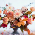 featured-image-1772287261