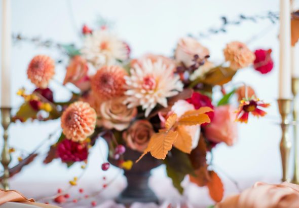 featured-image-1772287261